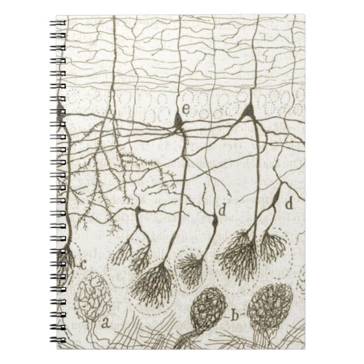 Neuronen van Cajal 8 Notitieboek (Voorkant)
