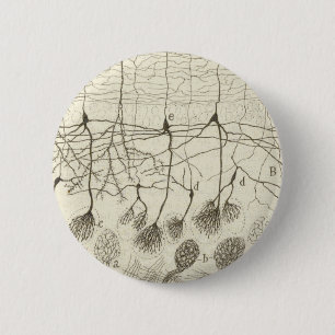 Neuronen van Cajal 8 Ronde Button 5,7 Cm