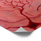 Neurons canvass poster (Hoek)