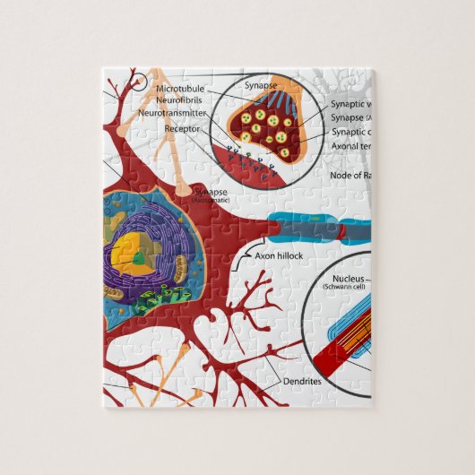 Neurons Nerve Style Legpuzzel (Verticaal)