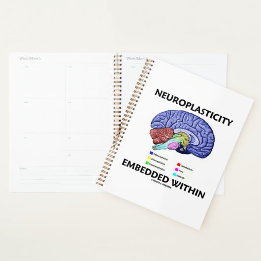 Neuroplasticiteit ingebed in hersenanatomie planner (Display)