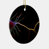 Neuroscience, neuron , science keramisch ornament (Rechts)