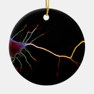 Neuroscience, neuron , science keramisch ornament
