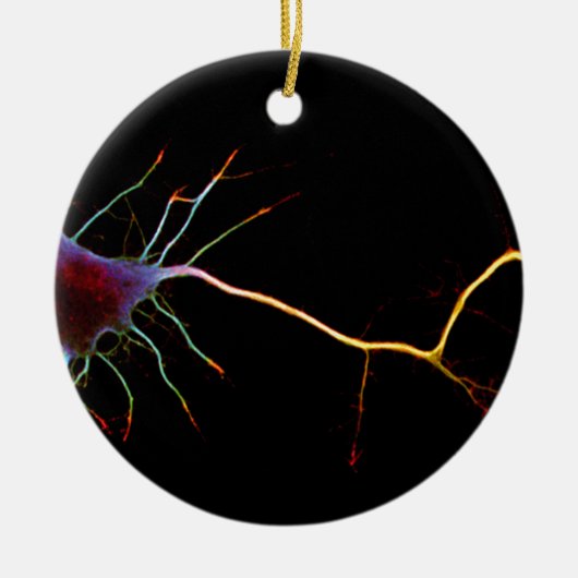 Neuroscience, neuron , science keramisch ornament (Voorkant)