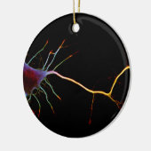 Neuroscience, neuron , science keramisch ornament (Links)