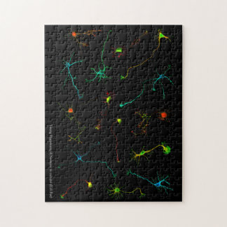 NeuroStage3 Puzzle Legpuzzel