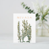  neusbloem komt midden eeuw briefkaart (Staand voorkant)