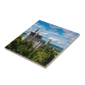 Neuschwanstein Castle - Beieren - Duitsland Tegeltje (Zijkant)