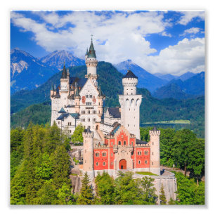Neuschwanstein Castle Duitsland Foto Afdruk