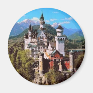 neuschwanstein castle - duitsland magneet