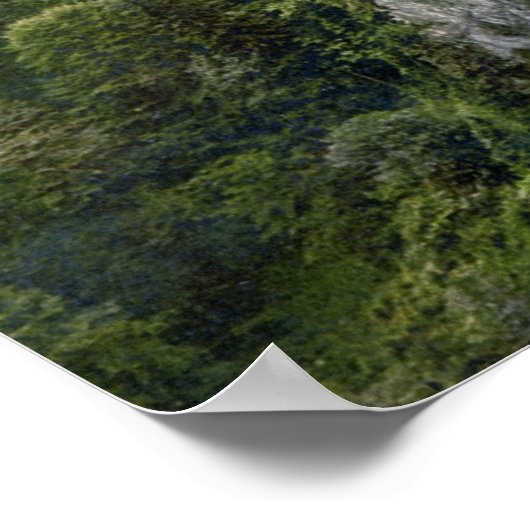 Neuschwanstein Castle Lithograaf Poster (Hoek)