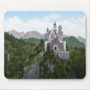 Neuschwanstein Castle Muismat