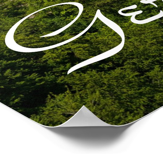 Neuschwanstein Castle Poster (Hoek)