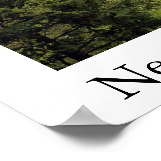 Neuschwanstein Castle Poster (Hoek)