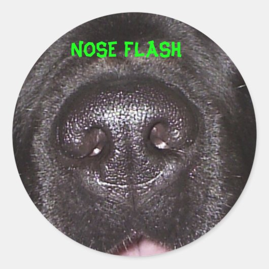 NEUSFLITS RONDE STICKER (Voorkant)