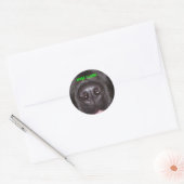 NEUSFLITS RONDE STICKER (Envelop)
