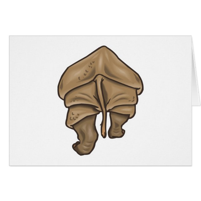 neusgat (Voorkant Horizontaal)