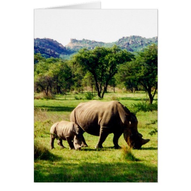 neushoorn (Voorkant)