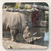 Neushoorn Bier Onderzetter (Voorkant)