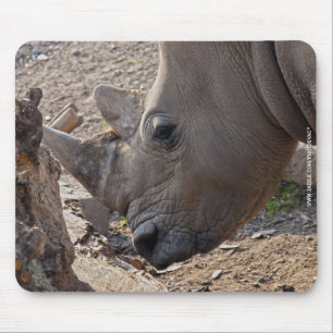 Neushoorn Muismat