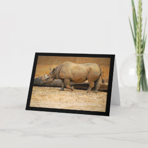 Neushoorn Portret Kaart