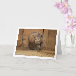 Neushoorn Portret Kaart