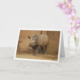 Neushoorn Portret Kaart