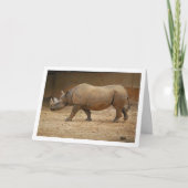 Neushoorn Wandelen Kaart (Voorkant)