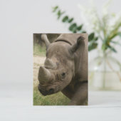 neushoornwandelen briefkaart (Staand voorkant)