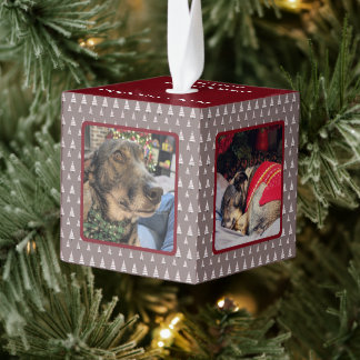 Neutraal Kerstboom 4 Foto Hond Kerstmis Kubus Ornament