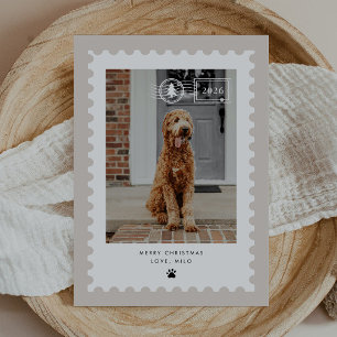 Neutrale postzegel huisdier hond foto vakantie feestdagenkaart