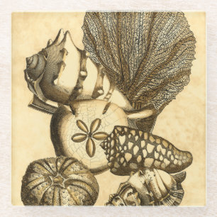 Neutrale schalen en koraal Collectie Glazen Onderzetter