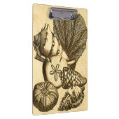 Neutrale schalen en koraal Collectie Klembord (Rechts)