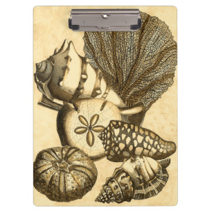 Neutrale schalen en koraal Collectie Klembord