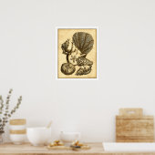 Neutrale schalen en koraal Collectie Poster (Keuken)