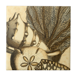 Neutrale schalen en koraal Collectie Tegeltje