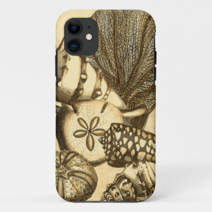 Neutrale Schelpen en Koraal Collectie iPhone 11 Hoesje
