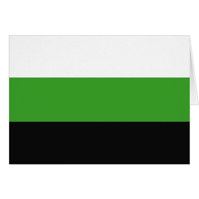Neutrois Pride Vlag (Voorkant Horizontaal)