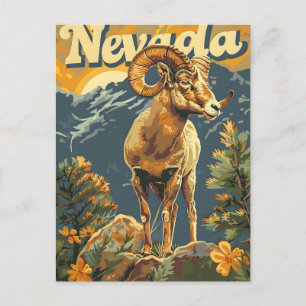 Nevada Bighorn Sheep  Briefkaart