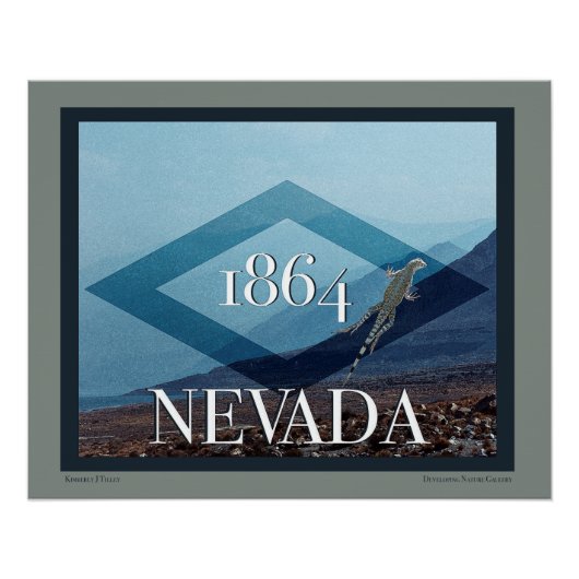 Nevada Landscape Poster Perfect Poster (Voorkant)