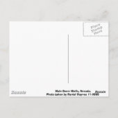 NEVADA MULE DEER BRIEFKAART (Achterkant)