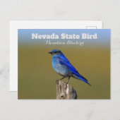 Nevada State Bird Briefkaart (Voorkant / Achterkant)