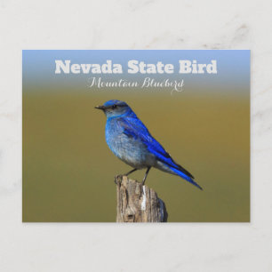 Nevada State Bird Briefkaart