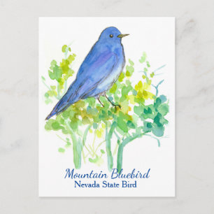Nevada State Bird Mountain Bluebird Briefkaart