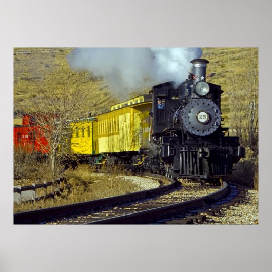Nevada State Railroad Museum Train #25 Poster (Voorkant)