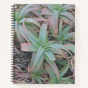 Nevada succulenten notitieboek