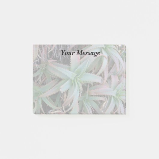 Nevada succulents post-it® notes (Voorkant)