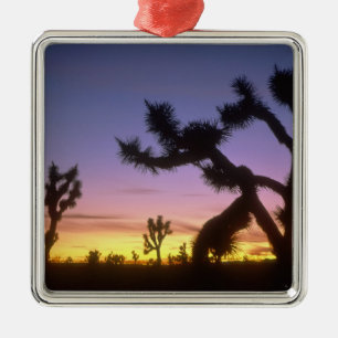 NEVADA. VS. Joshua-bomen Yucca brevifolia) Metalen Ornament