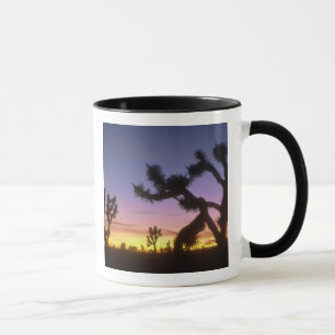 NEVADA. VS. Joshua bomen Yucca brevifolia) Mok