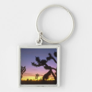 NEVADA. VS. Joshua bomen Yucca brevifolia) Sleutelhanger